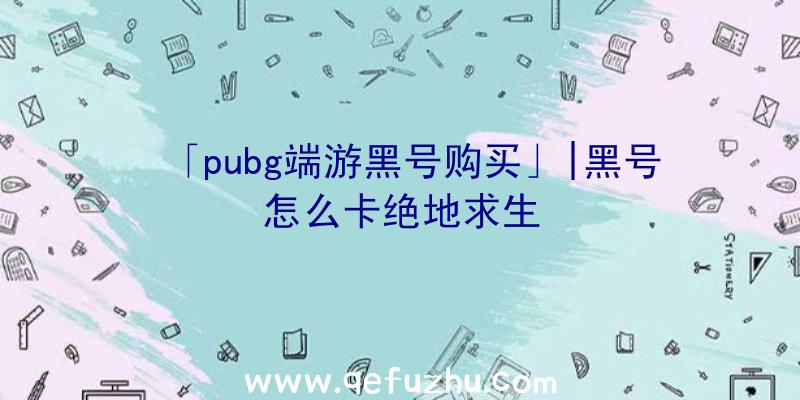 「pubg端游黑号购买」|黑号怎么卡绝地求生